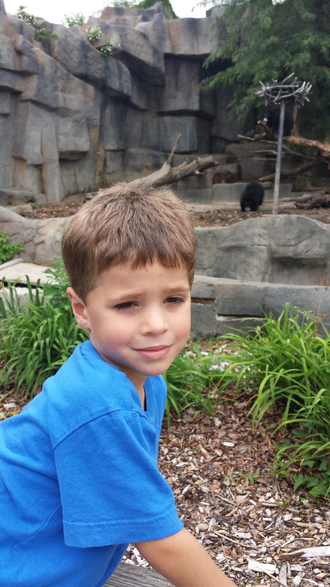 Thomas at the bear exhibit
