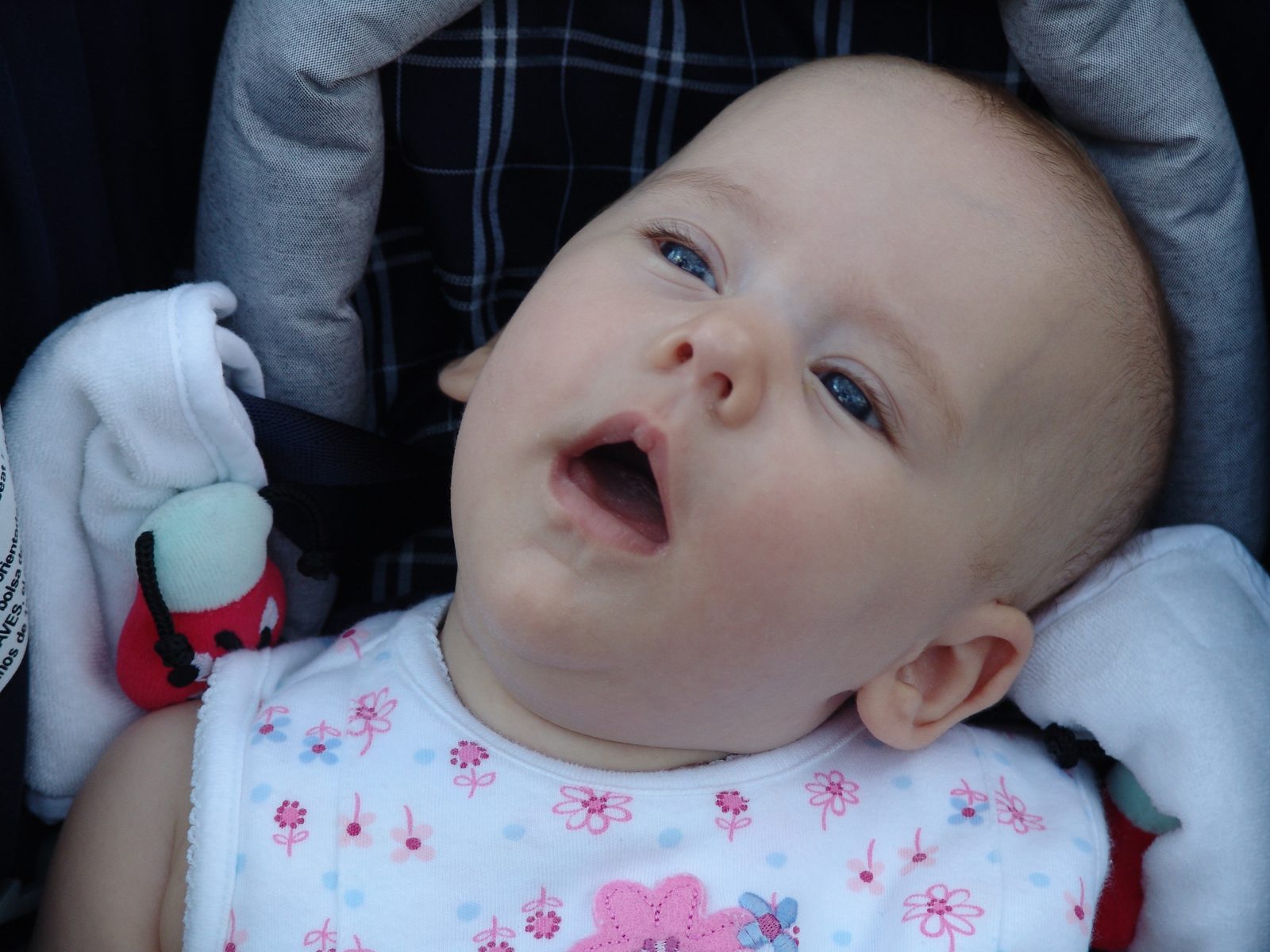 Lisa taking in the zoo from her stroller