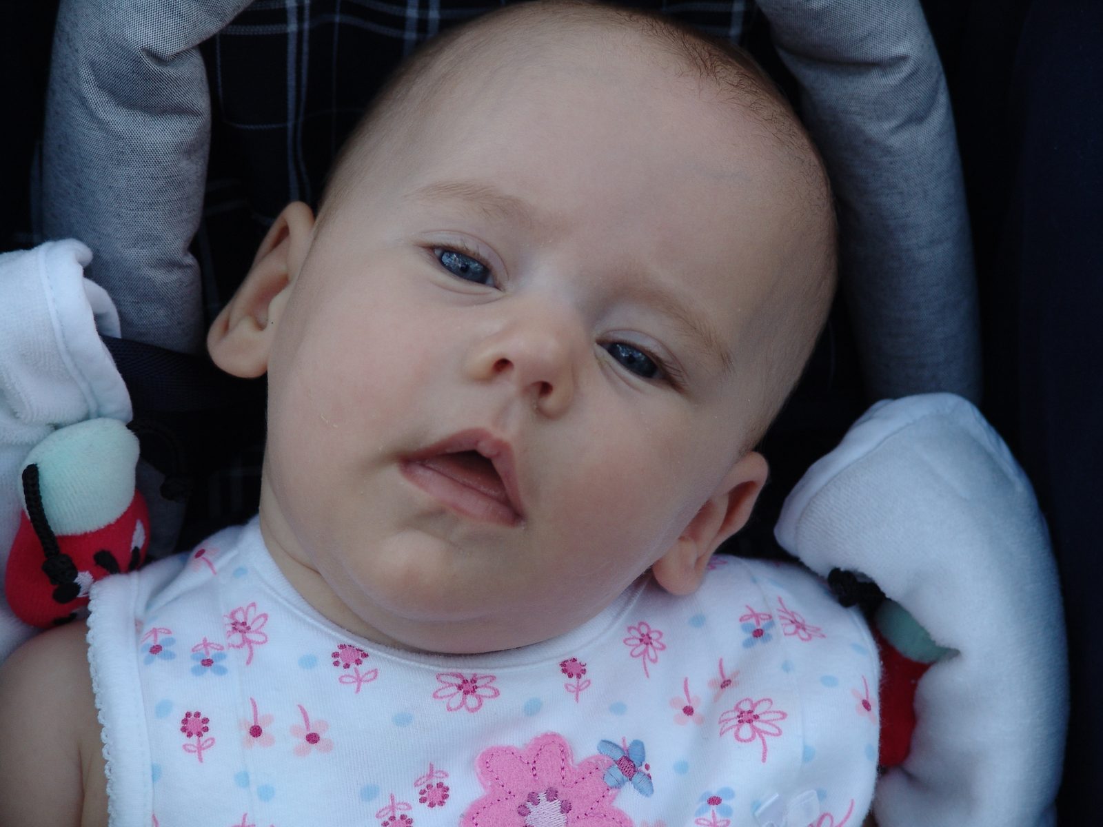 Lisa in her stroller