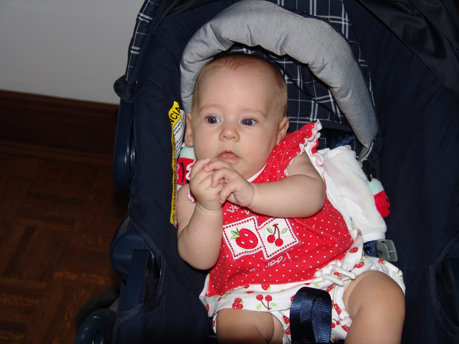 Lisa in her stroller at the museum