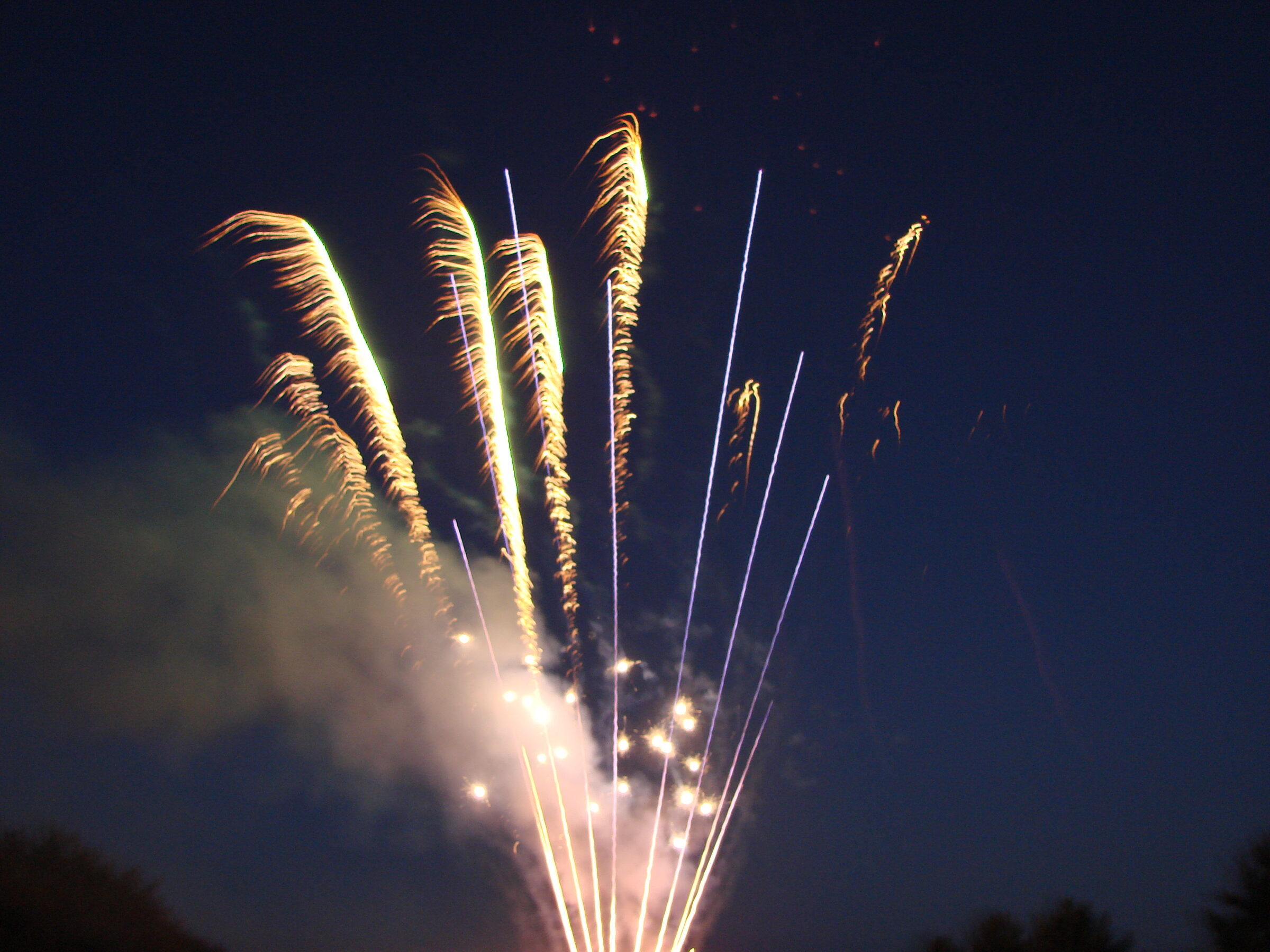 Rennhack Fireworks Extravaganza 2010