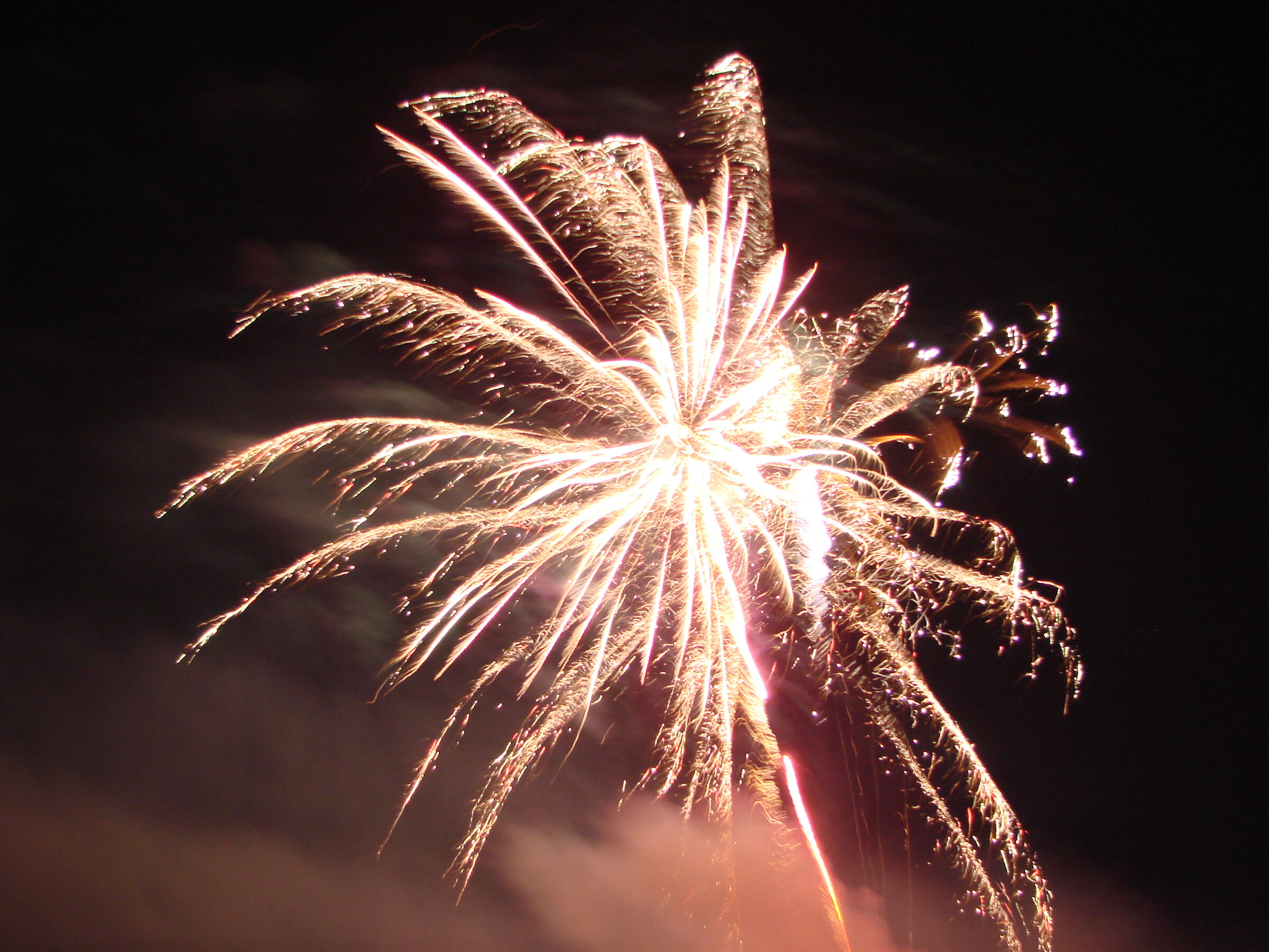 Rennhack Fireworks Extravaganza 2010