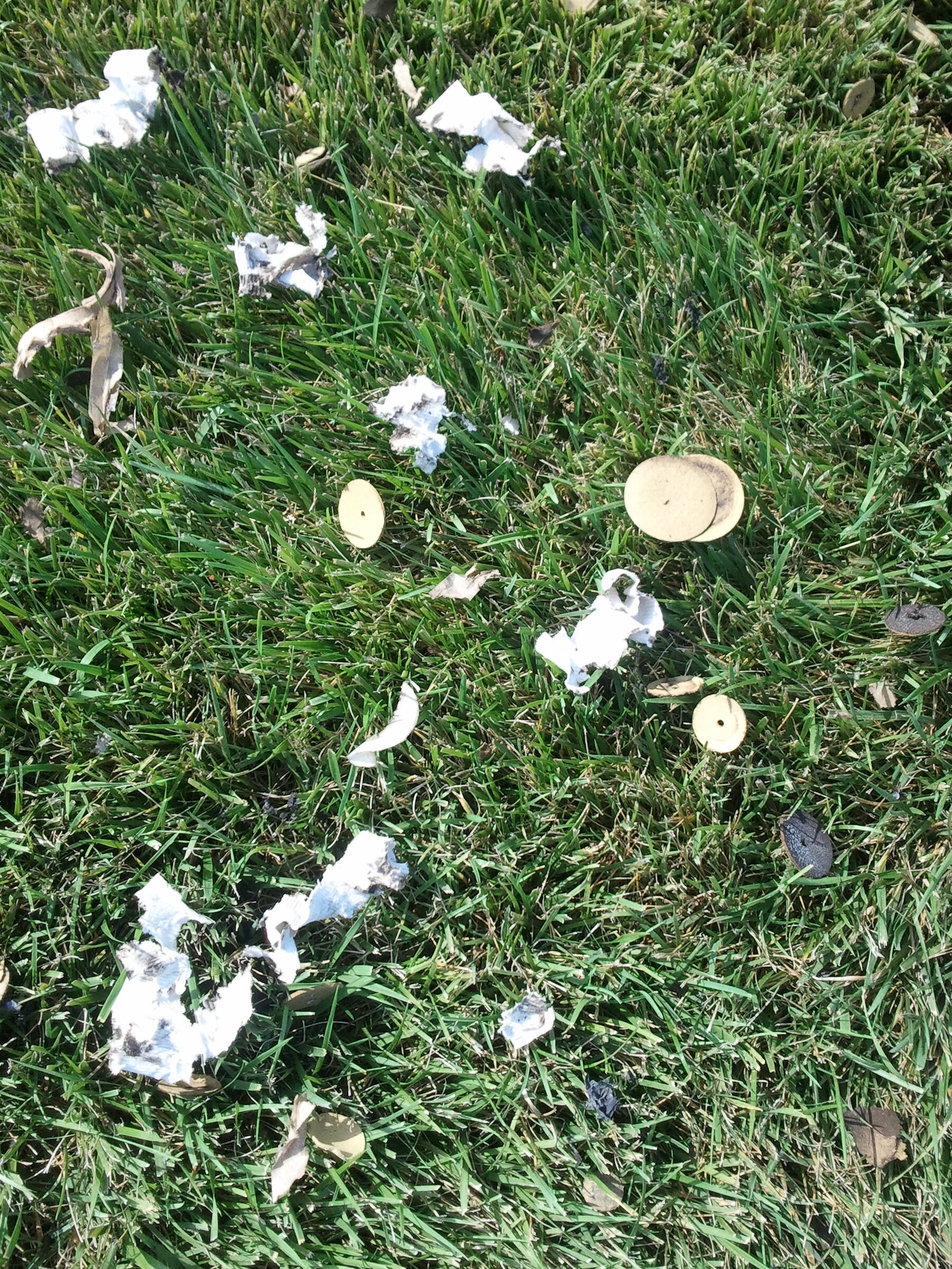 What the yard looked like the morning after